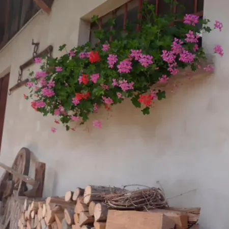 La Mirabelle De Charme