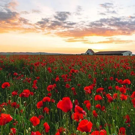 Apartment La Mirabelle De Charme *