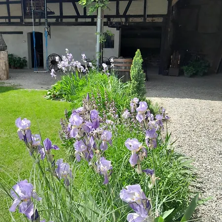 La Mirabelle De Charme Apartment *